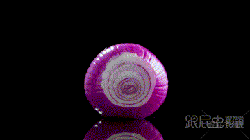 索利斯手持料理机1-(2).gif